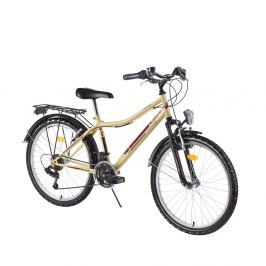 Rower Junior DHS Travel 2431 24