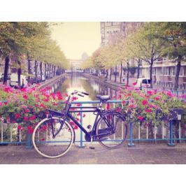 Amsterdam Wiosną Rower wśród Kwiatów - plakat