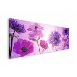 Flowers in Purple - obraz na płótnie